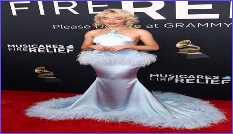 Sabrina Carpenter Dress Size: A Complete Guide To Her Fashion Choices