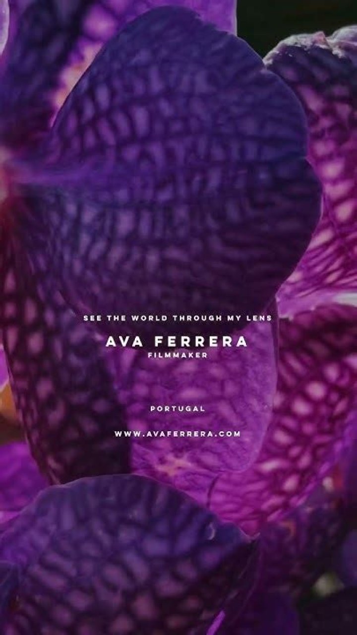 Ava Ferrera: The Rising Star Of Social Media And Entertainment