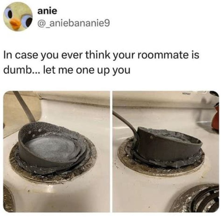 Laughing Through The Flames: A Dive Into Bad Cooking Memes