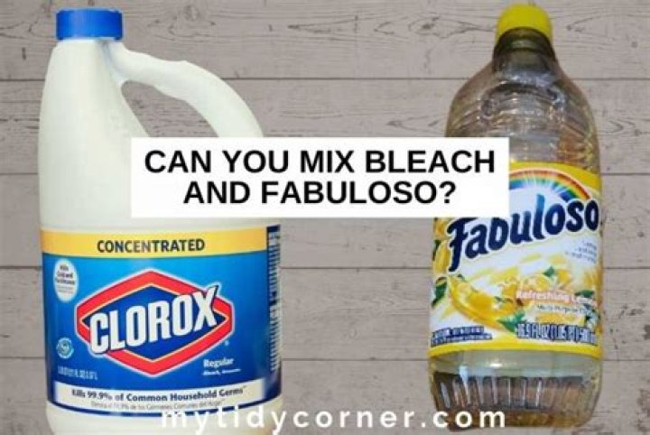Fabuloso And Bleach: A Dangerous Mix Or Safe Solution?