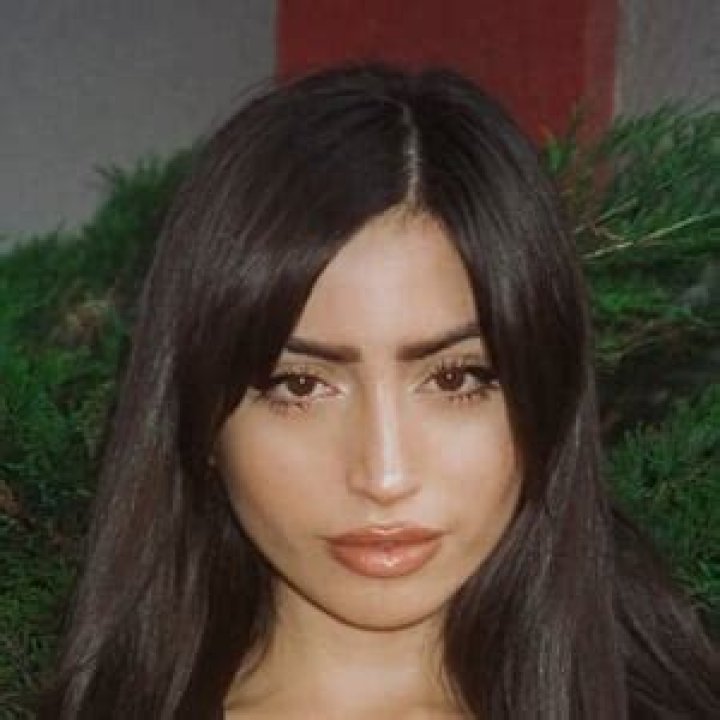 Discovering The World Of Ehcico: A Journey Through Creativity And Innovation