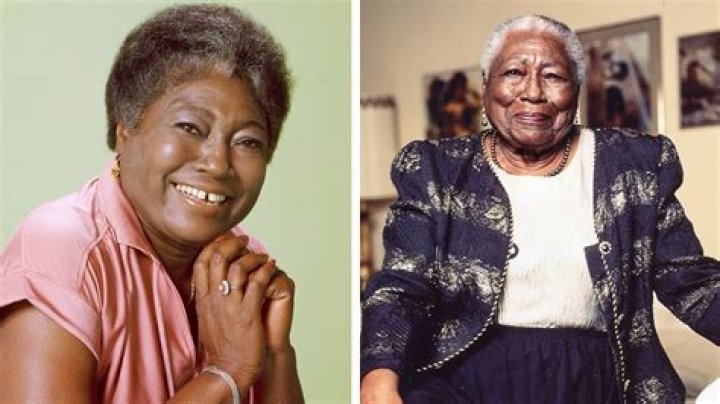 Florida Good Times: A Journey Through Sunshine And Smiles