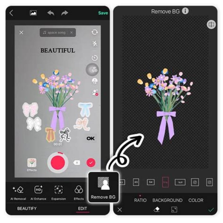 Discovering The World Of Floral Wonders: The Flower Name Filter Online