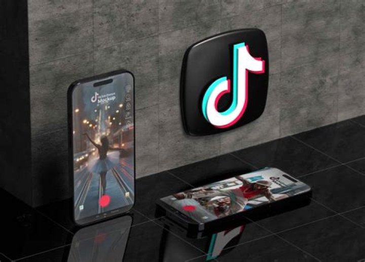 Mastering The Art Of Removing TikTok Watermarks