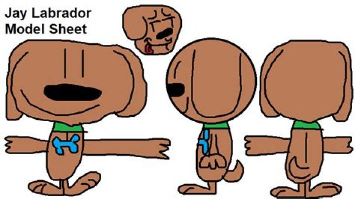 Discovering The Charismatic Journey Of Jay Labrador