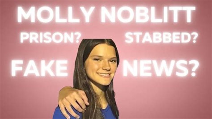 Unraveling The Mystery Of Molly Noblitt Stabber