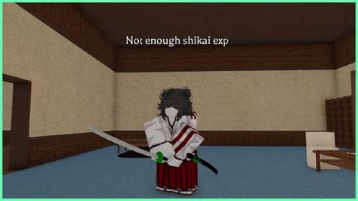 Understanding The Challenges Of Not Enough Shikai Experience