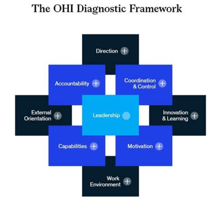 Unlocking Potential: The Organisational Health Index By McKinsey