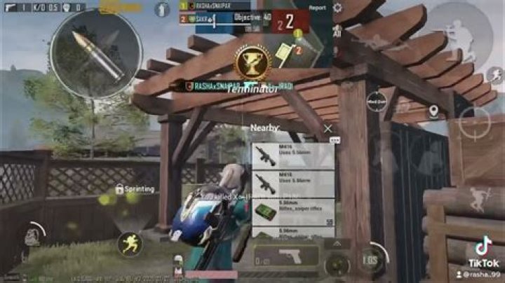 Exploring The Mystique Of Rasha99: A Journey Through Creativity And Innovation