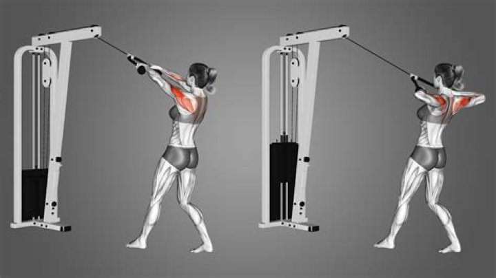 Unlocking The Power Of Rear Delt Cable Exercises