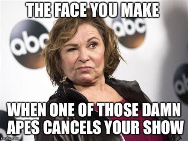 Exploring The Phenomenon Of The Roseanne Barr Meme