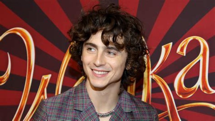 Timothée Chalamet: A Glimpse Into His Age And Journey