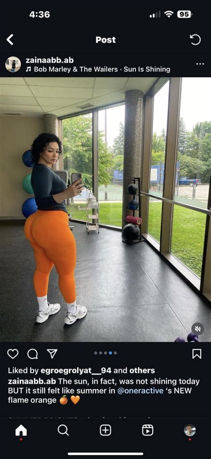 Exploring The Fascinating World Of Zainaabbab